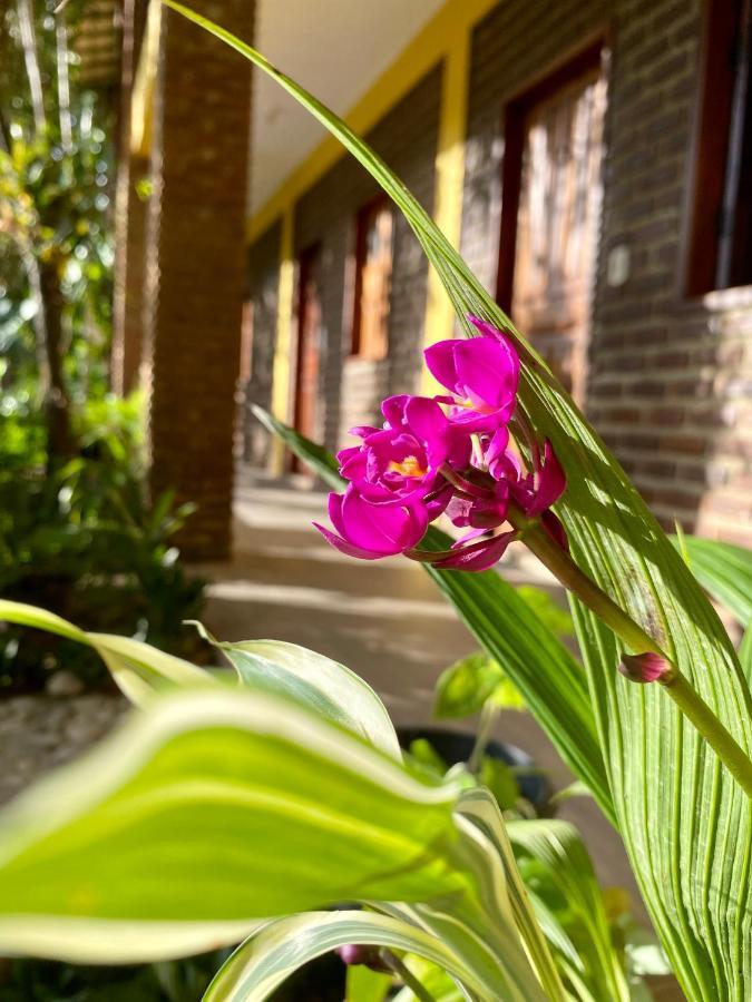 Pousada Aruana Hotell Porto Seguro Exteriör bild
